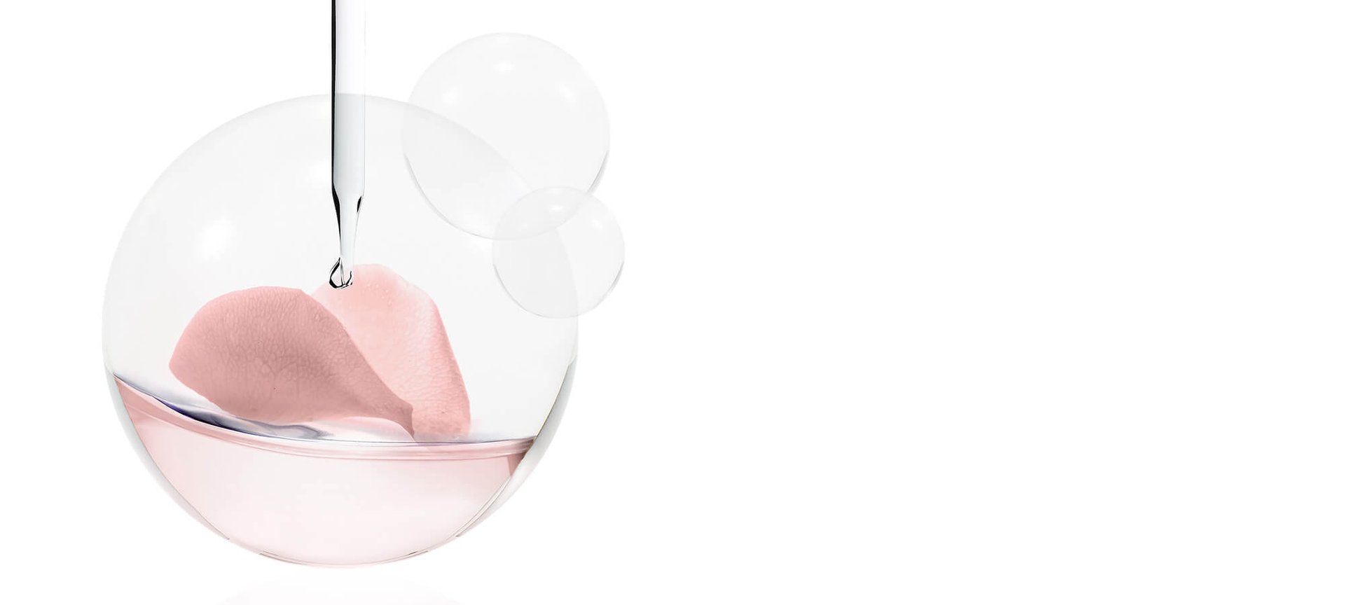 PEONY POLYPHENOLS